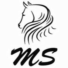 Centro Ecuestre MS