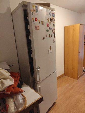 RECOGIDA DE MUEBLES GRATIS
