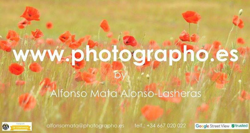 PHOTOGRAPHO
