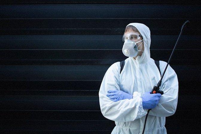 TodoPlagas Madrid - Fumigación y control de plagas
