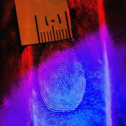 Asociación Española de Imagen Científica y Forense