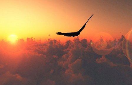 AVE-FENIX