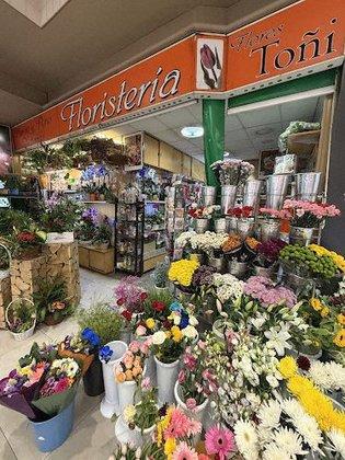 Flores Toñi