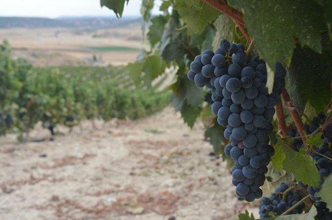 Bodega Tomás Postigo - Postigo Vergel, S.L.