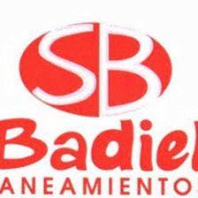 Saneamientos Badiel