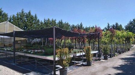 Viveros Recio Torrelaguna l (CERRADO POR DESCANSO HASTA EL 15 DE SEPTIEMBRE) | Sierra Norte en Madrid