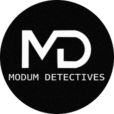 Modum Detectives