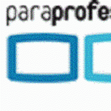 paraprofesionales