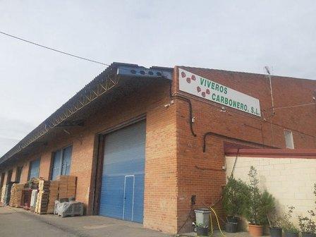 Viveros Carbonero S L