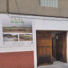 DIVER SPORT LA OLIVA