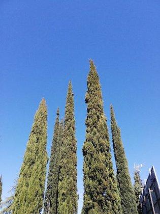 Fundación Jardines de España