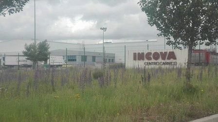 Incova Muelles