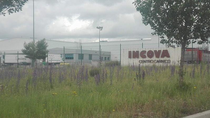 Incova Muelles