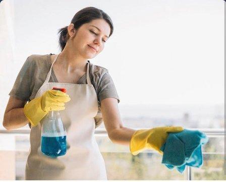 Cleaning service RIL