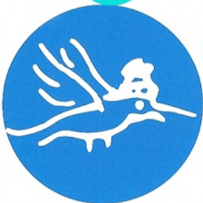 Tucusitos