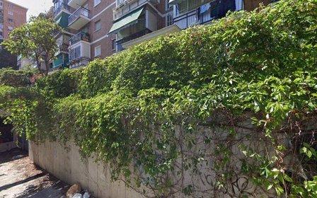 Escalona 41