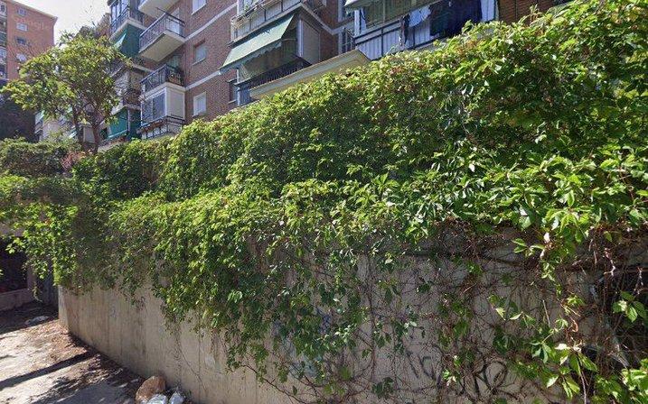 Escalona 41