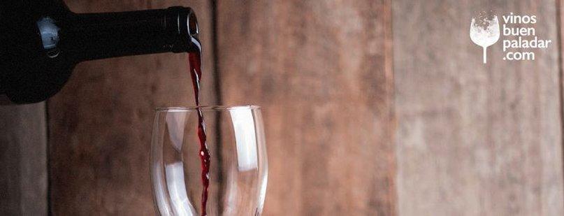 Vinos Buen Paladar