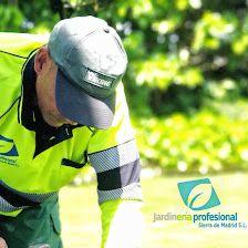 Jardinería Profesional