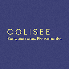 Colisée San Sebastián de los Reyes | Centro de Diversidad Funcional