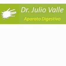 Julio Valle Muñoz - Aparato Digestivo