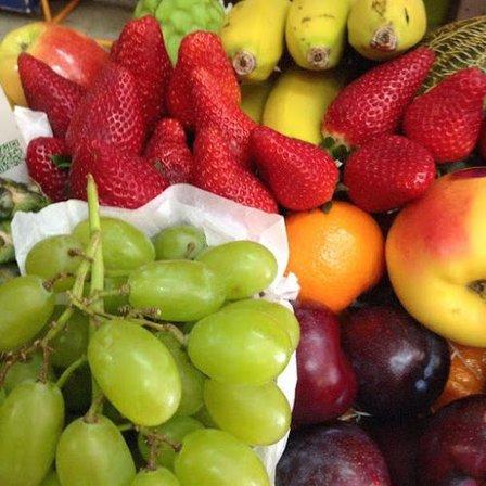 Fruitfer S.A.