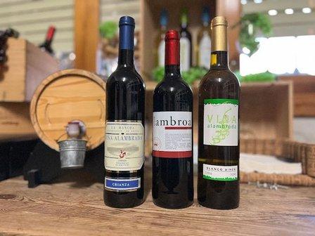 BODEGAS PEÑA LUMBRERAS - Rutravi, S.L.