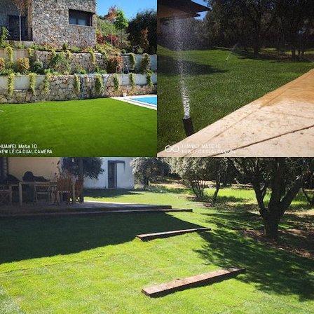 La encina (jardinería y paisajismo)