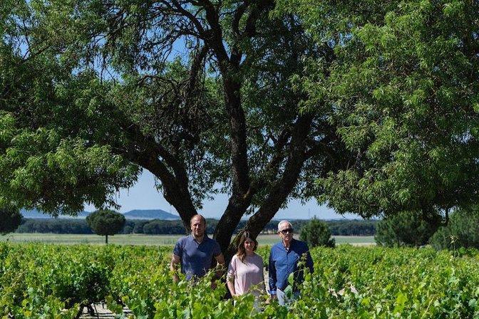 Bodegas Félix Lorenzo Cachazo