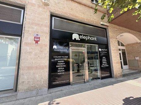 Ruth Márquez-Realtor Elephant Real Estate