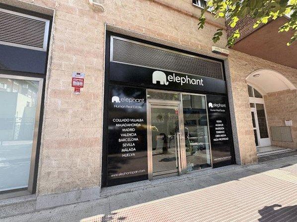 Ruth Márquez-Realtor Elephant Real Estate