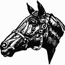 Equus Riding Shop SL