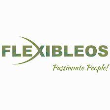 Flexibleos S.L.