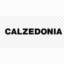 Calzedonia