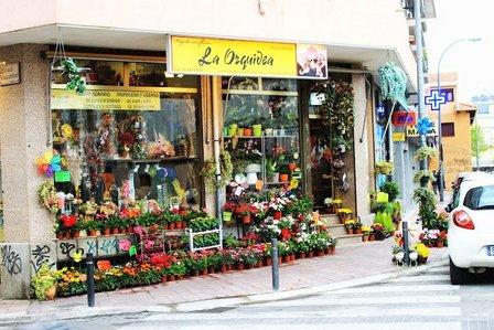 Floristeria Flores y Plantas La Orquídea
