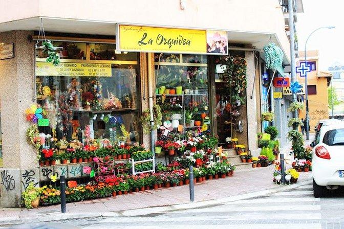 Floristeria Flores y Plantas La Orquídea