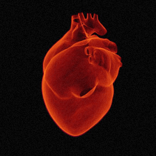 CardioDoc, Cardiólogo a Domicilio