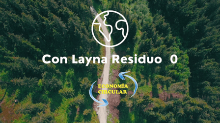 Grupo Layna