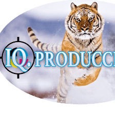 IMPRENTA DIGITAL, IQ