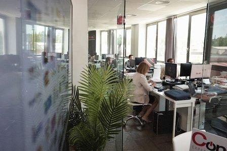 Consulta Franquicias