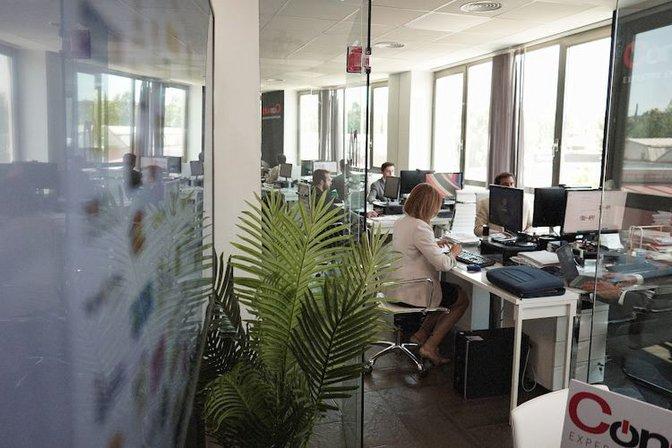 Consulta Franquicias