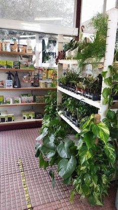 Vernatura Centro de jardinería y Huertos urbanos