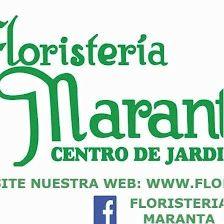 Floristería Maranta Viveros