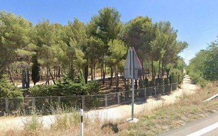 Glamping Sonorama Ribera