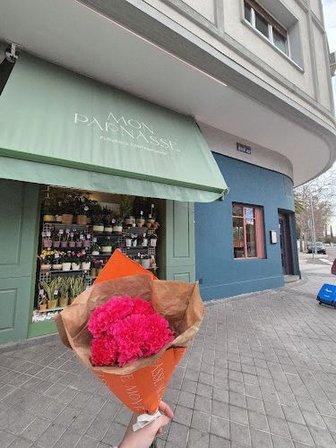 Mon Parnasse Flores - Doctor Arce