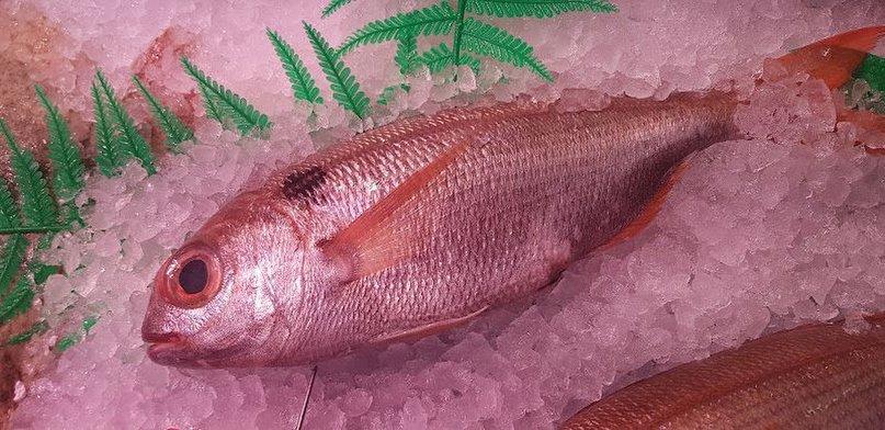 Pescados Paco