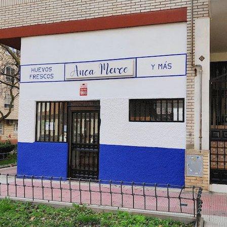 ANCA MERCE