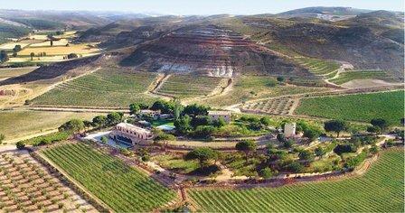 Bodega Pago Calzadilla