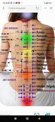 Terapiasholísticasjull