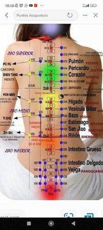Terapiasholísticasjull